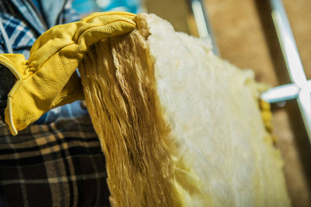 Best Insulation Maintenance and Repair in North Bay Village, FL